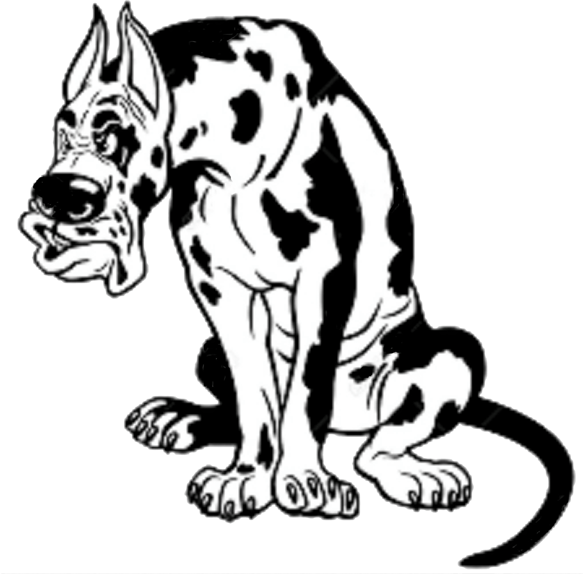 Bad Dog Flooring Inc